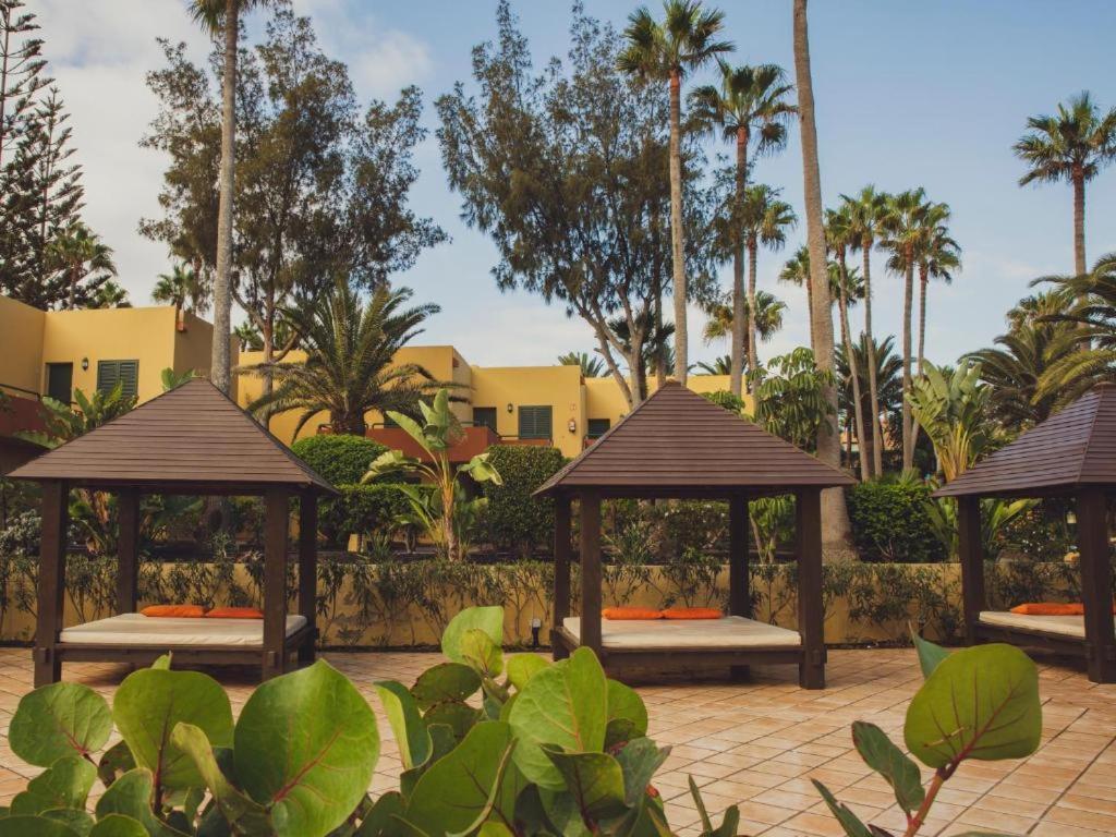 Pachi Beach Atlantic Garden Corralejo Exterior foto