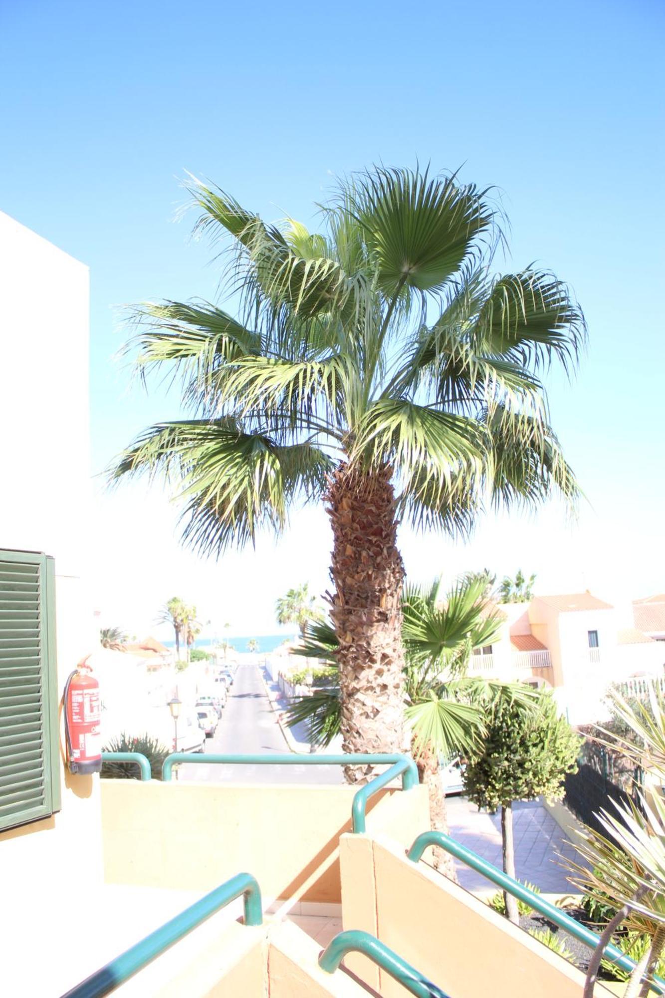 Pachi Beach Atlantic Garden Corralejo Exterior foto
